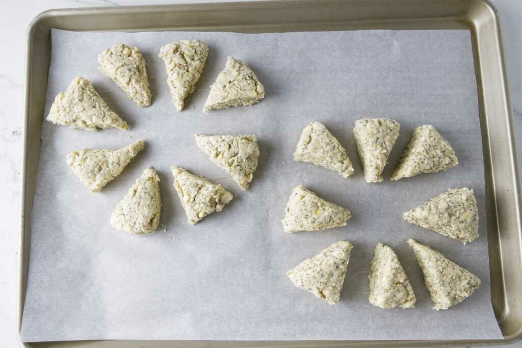 Scones on a baking tray ready for the oven.
